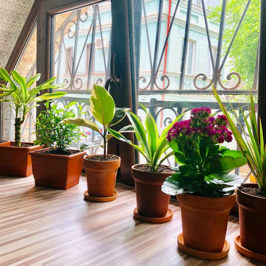 Hb Apartments Akhvelediani II 트빌리시 외부 사진